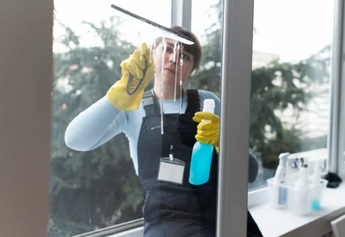 Nettoyage de vitres intérieures et extérieures à Montertelot